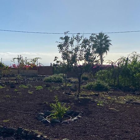 Finca Arcoiris Tenerife Vv Guia de Isora  Bagian luar foto
