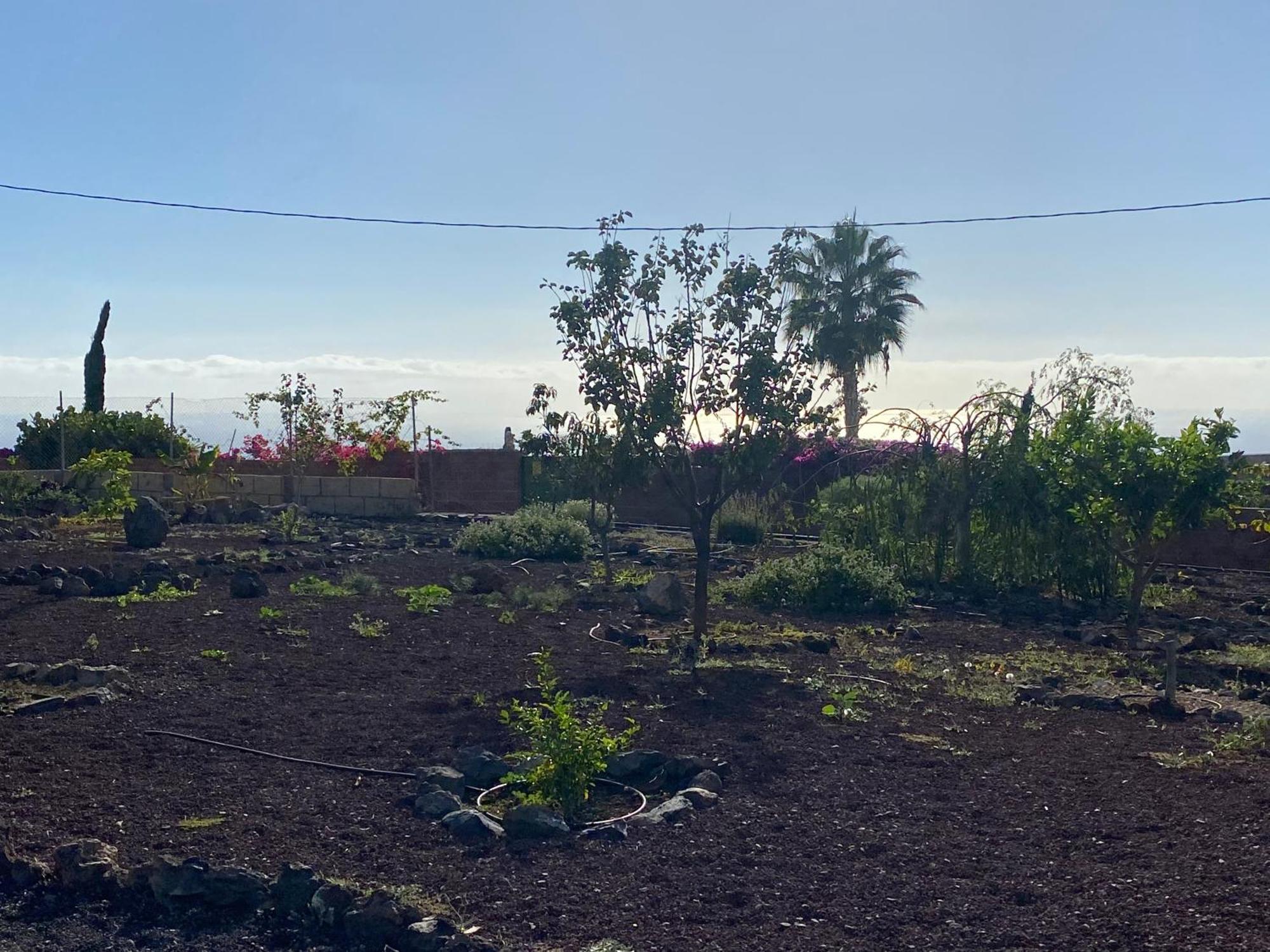 Finca Arcoiris Tenerife Vv Guia de Isora  Bagian luar foto